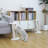 17" Minimalist Scratching Post with Toy