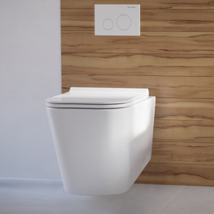 Tankless Toilet Wall Mount | Wayfair