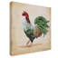 Deagen «Rooster 5», reproduction sur toile tendue-30362015