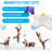 Agility Equipment Interactive Butterfly Flutter For Exercise Enrichment