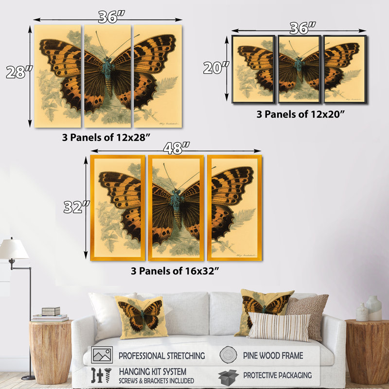 Illustration rétro de papillons II - animaux, ensemble d'art mural sur toile_80513, H 20 po x l 36 po, Toile avec cadre blanc