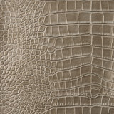Ankora Design Fabric