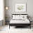 Scheller Solid Wood Platform Bed-648381232-538579707