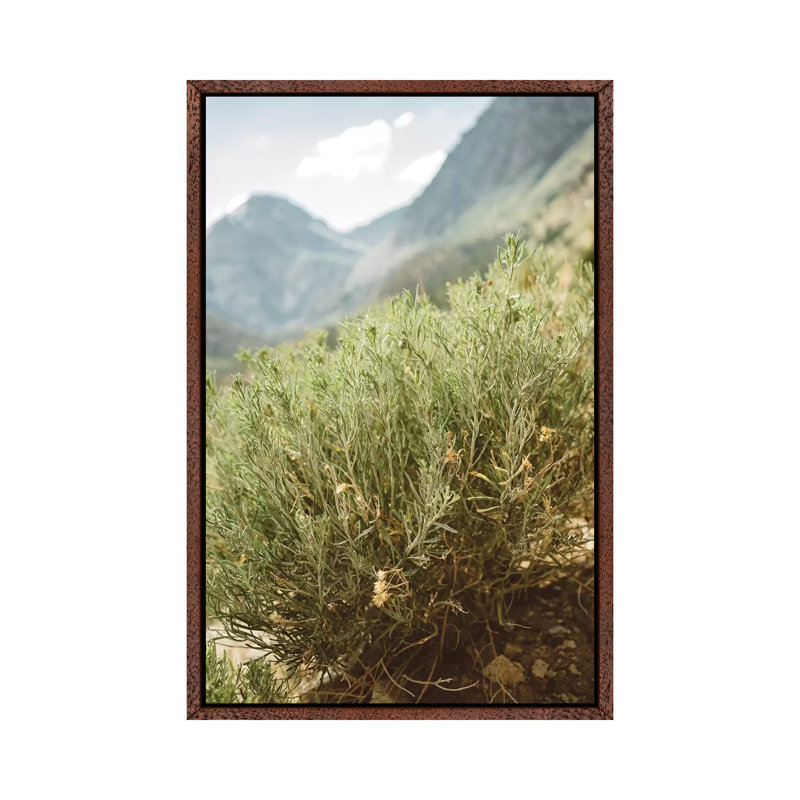 Yosemite National Park IV by Bethany Young - Print on Canvas, 101.6cm H x 66.04cm W x 3.81cm D, Classic Brown Wood Framed
