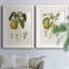 Vintage Pears I Premium encadré mat - prêt à être accroché-715839851-715839852