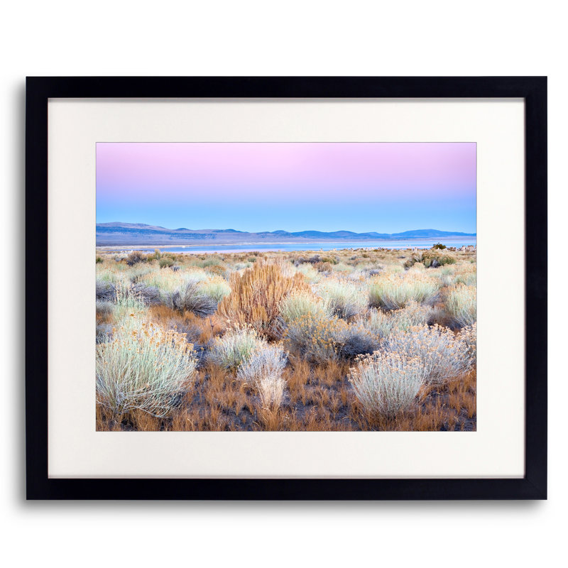 Mono Lake Twilight With Rabbitbush Print by Bruce Heinemann, Black Framed Paper, 17.2" H x 21.2" W