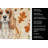 Blenheim Cavalier Spaniel Heirloom Fall Kitchen Towel-1218231462