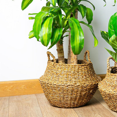 Bay Isle Home Jute / Sisal Decorative Basket
