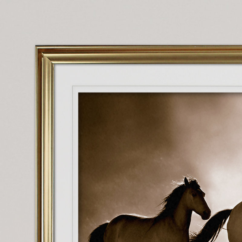 Chevaux sauvages - reproduction de cadre photo, H 20 po x l 24 po x P 1,5 po, Cadre doré