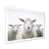 White Single Picture Framed