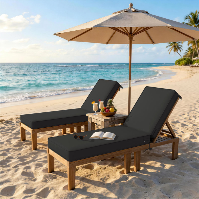 Coussin de chaise longue d'extérieur Wynee, L 25,8 po x P 79,75 po, Noir, noir, noir, noir