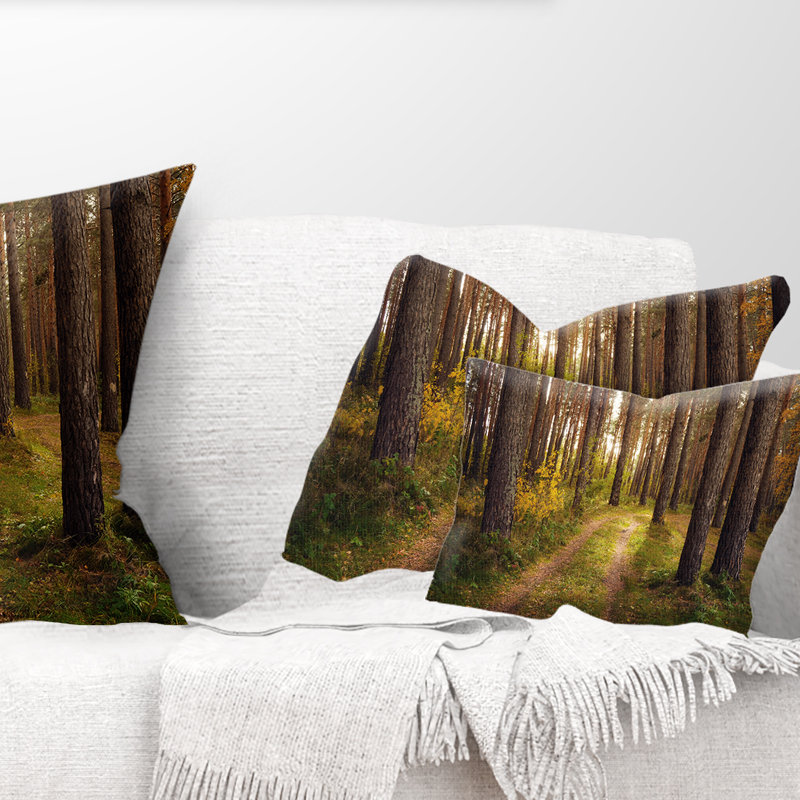 Reversible Throw Pillow