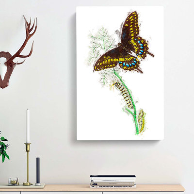 Caterpillar & Butterfly by George Shaw - Wrapped Canvas