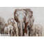 Path of the Elephants Acrylic Painting