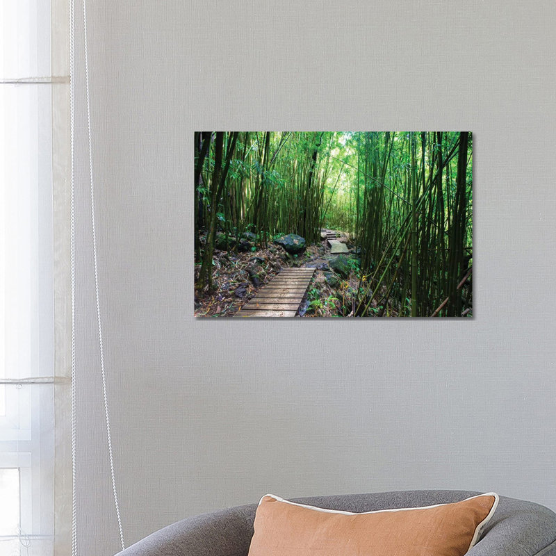 Boardwalk Through Bamboo, Pipiwai Trail, Hakeakala National Park, Kipahulu, Hana Road, Maui, Hawaii, USA IV 1 Piece Wrapped Canvas Wall Art