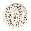 Rora Desert Mandala Planta 10.5" Melamine Dinner Plate