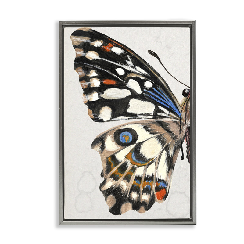 Toile «Butterfly» par Melissa Wang, Cadre flottant gris lustré, H 25 po x l 17 po