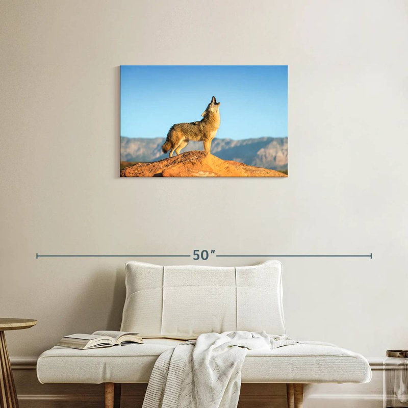 Brampt Howling Coyote, 20'' H x 30'' W