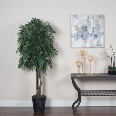 Arbre 72 po Smilax