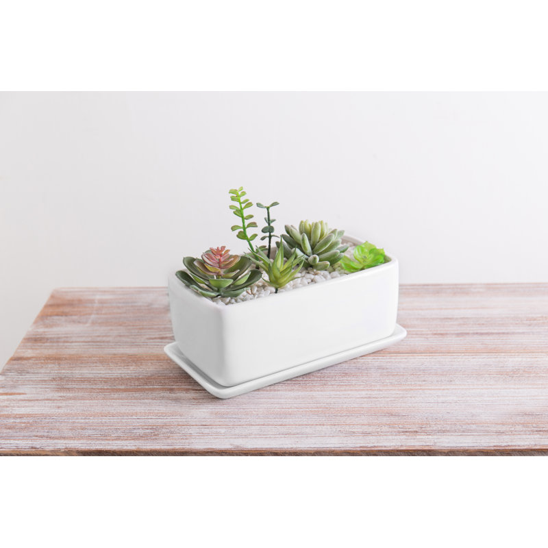 Anielle Rectangular Ceramic Pot Planter, White