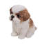 Statue de chiot Shih Tzu assis-16443397