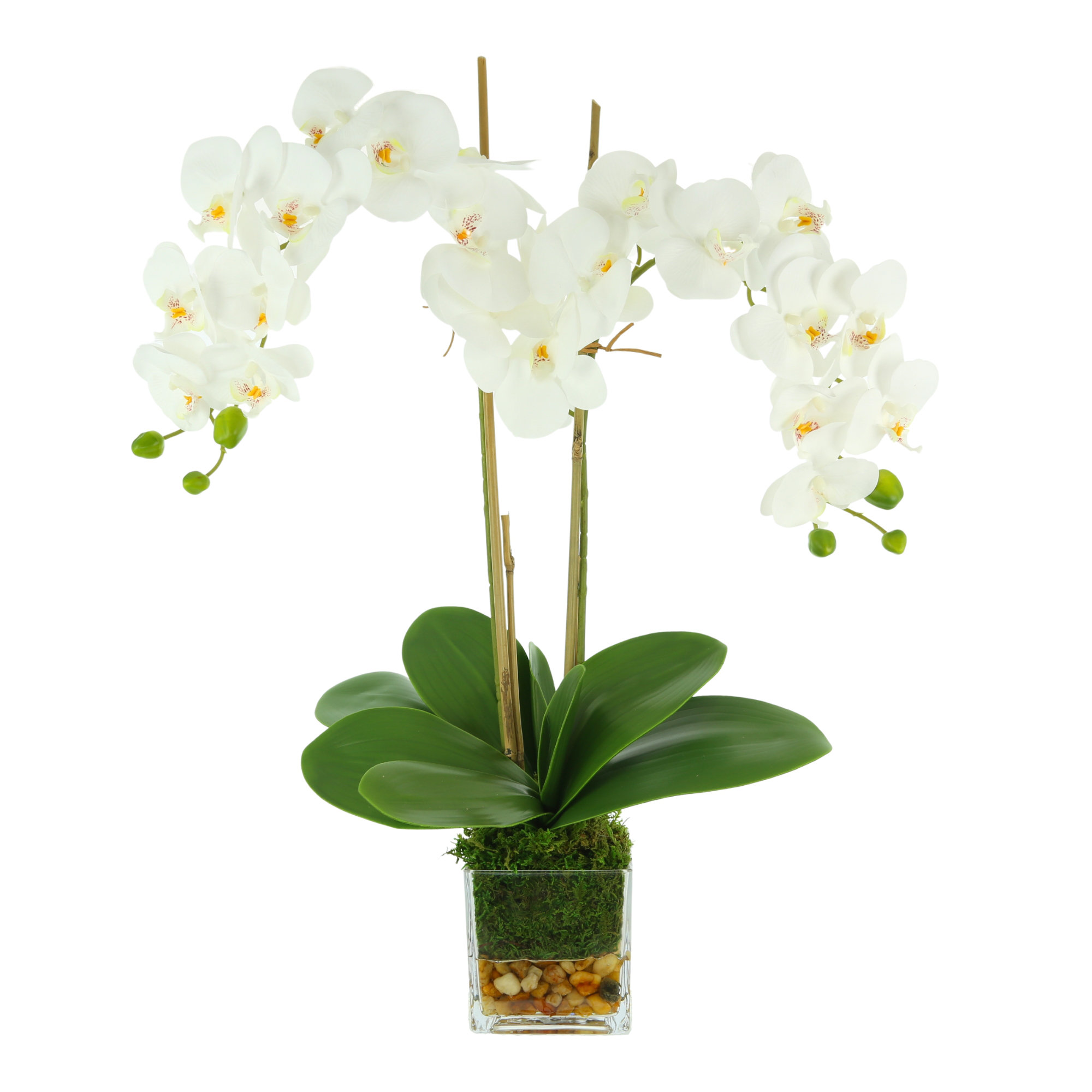 Primrue Polysilk Orchid Arrangement in Vase & Reviews | Wayfair