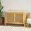 Armoire de rangement décorative 2 portes