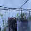 Photos des clients 1 de 2
