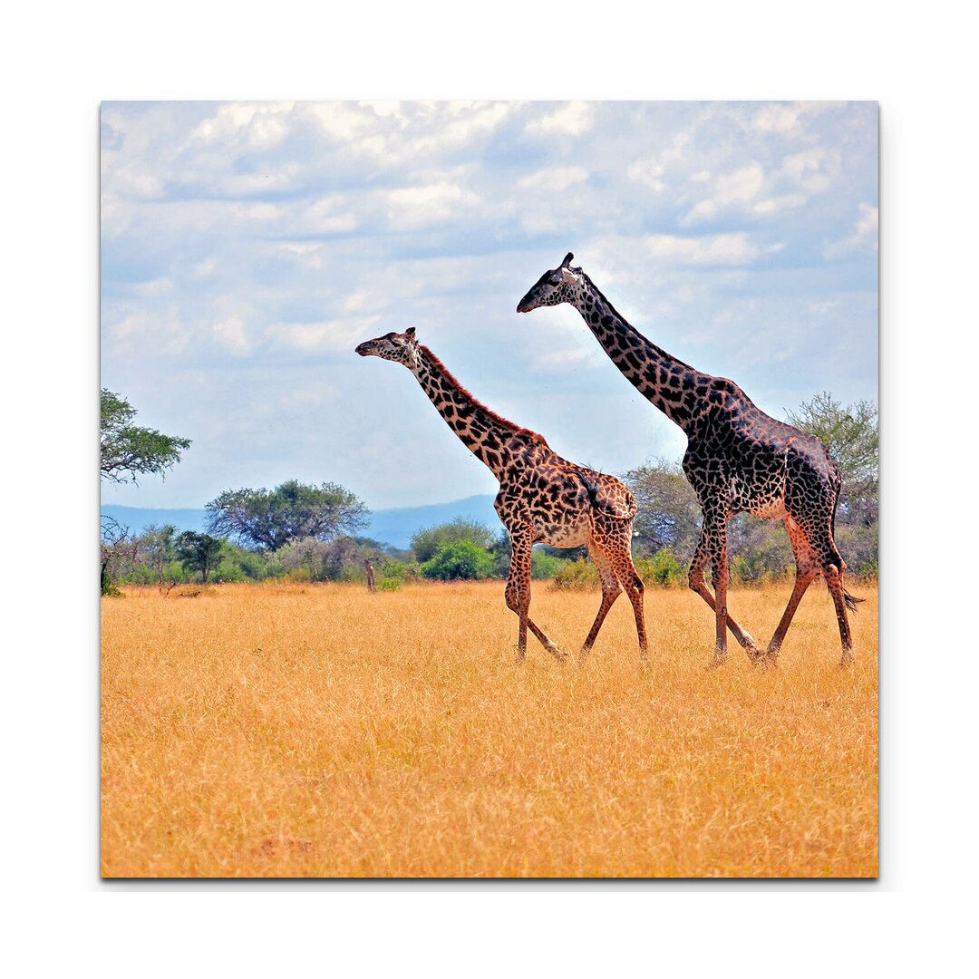 Leinwandbild Ein Giraffenpaar in der afrikanischen Steppe