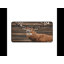 Polyester Desk Pad-770924518