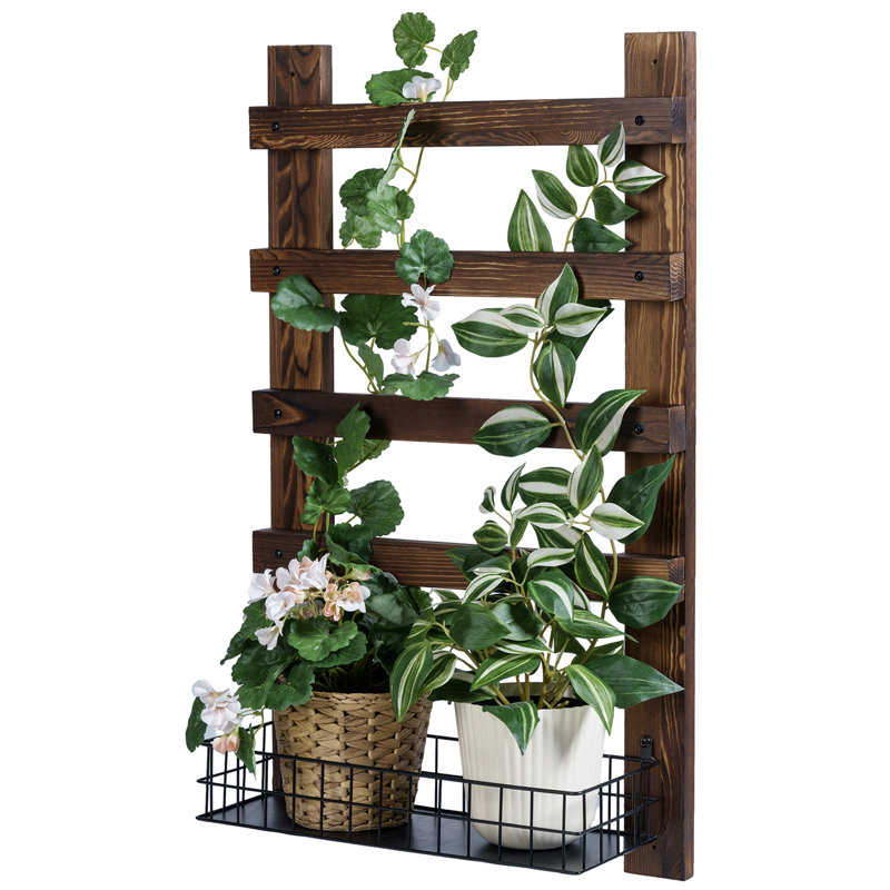 Millwood Pines Carletto Wall Mounted Solid Wood Lattice Panel Trellis ...
