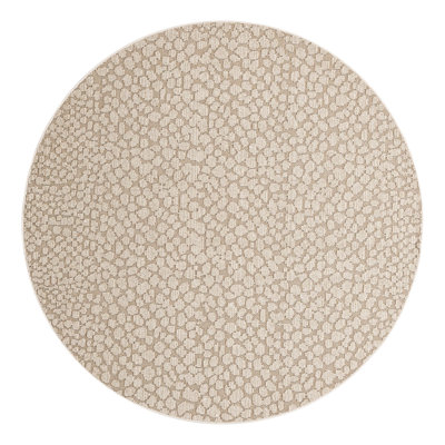 Gurjot Indoor/Outdoor Area Rug