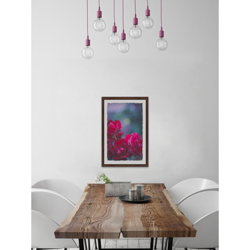 Roses Are Red by Ann Barnes - Single Picture Frame Print, 91cm H x 61cm W x 4cm D