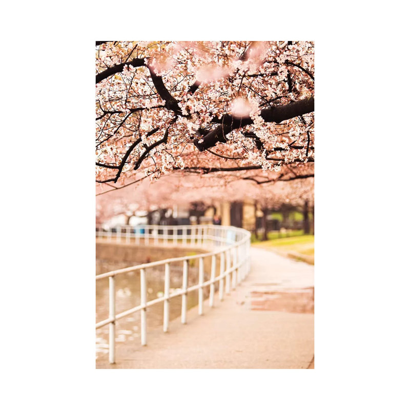 Canopy Of Cherry Blossoms Over A Walking Trail by Susan Richey - Gallery-Wrapped Canvas Giclée on Canvas, Canvas