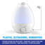 Humidificateur ultrasonique de table 1 gallon