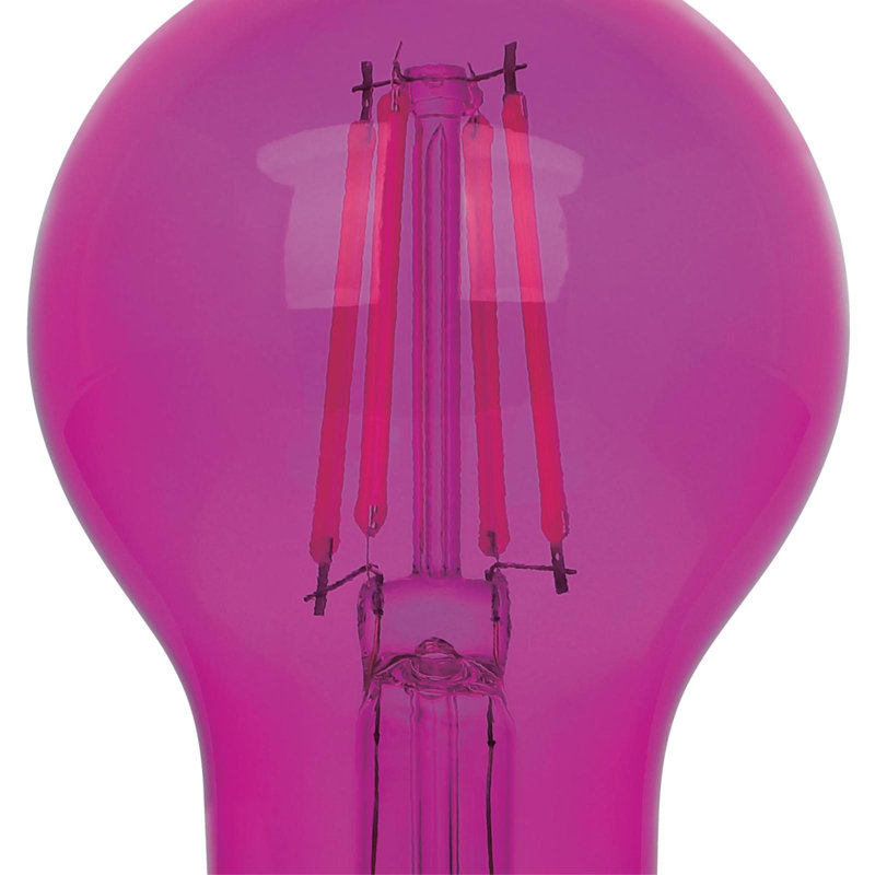 Ampoules DEL à filament omnidirectionnel A19 roses, 4,5 W (équivalent 40 W), culot moyen (E26), lot de 2, Pink, Pack of 2