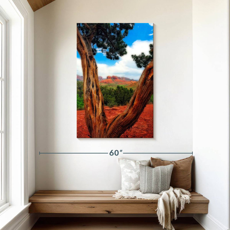 Aime Desert Reds, 45" H x 30" W