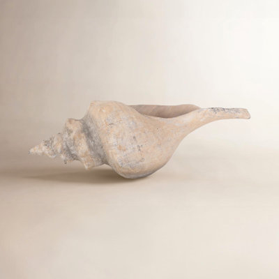 Keaton Horse Conch Sculpture