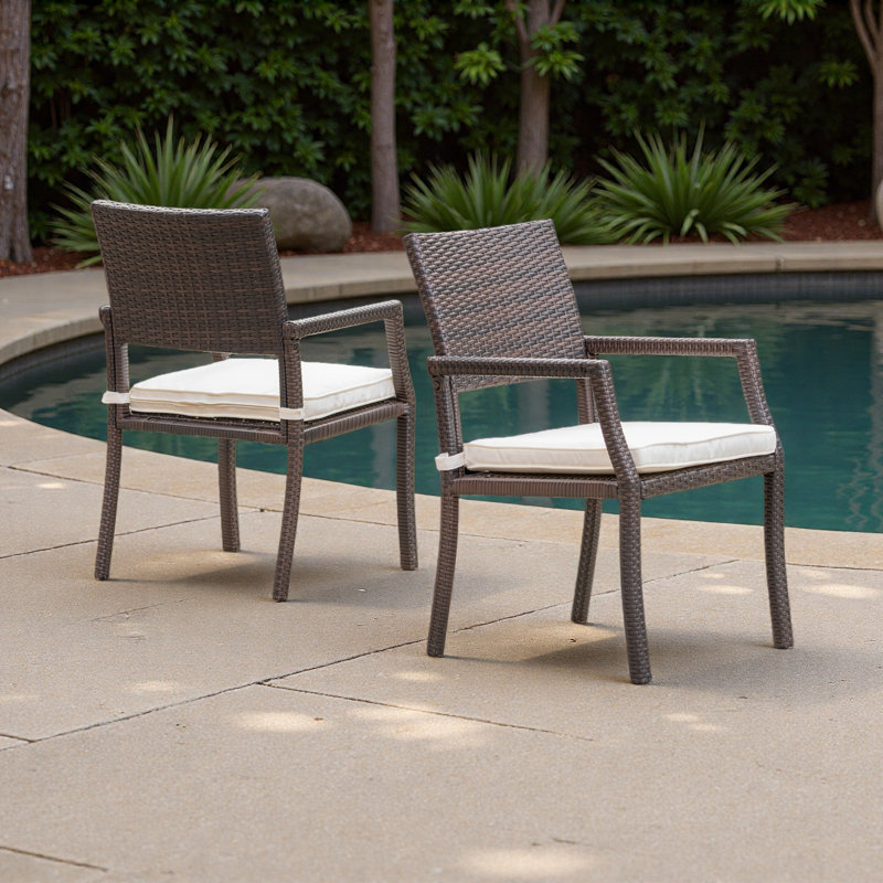 DINING CHAIR(Set Of 2)