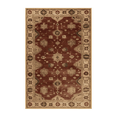 Machine Washable Overdyed Brown Area Rug
