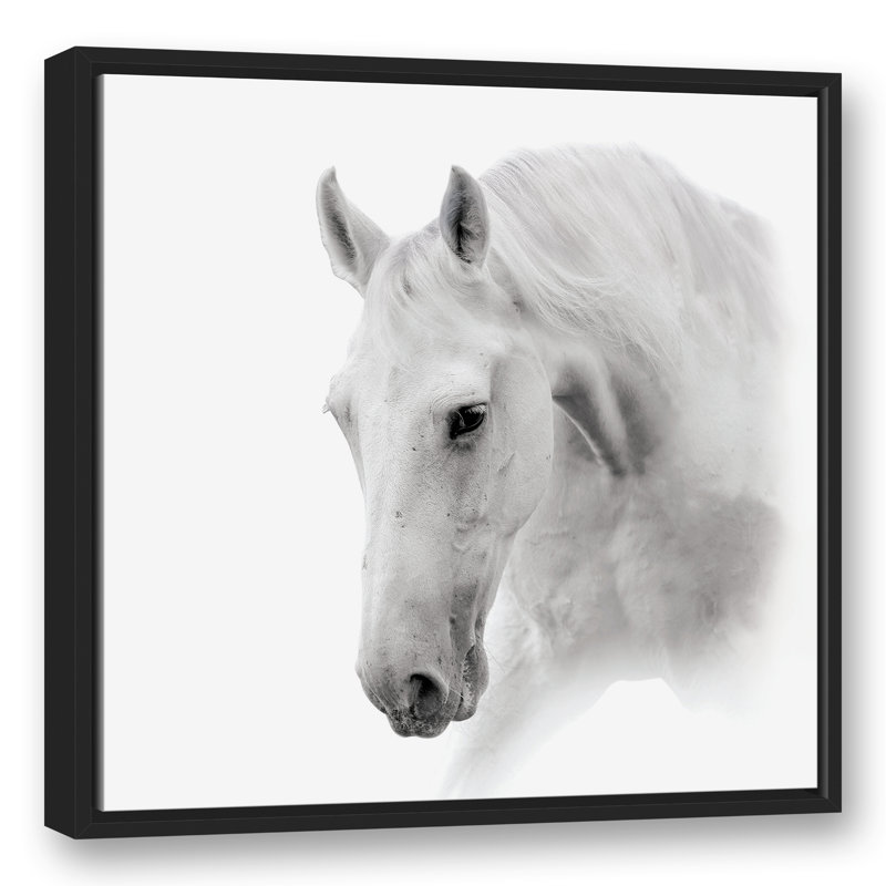 White Horse Framed On Canvas Print, L 25,75 po x H 25,75 po