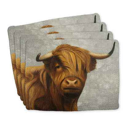 Ensemble de 4 napperons en polyester tressé Highland