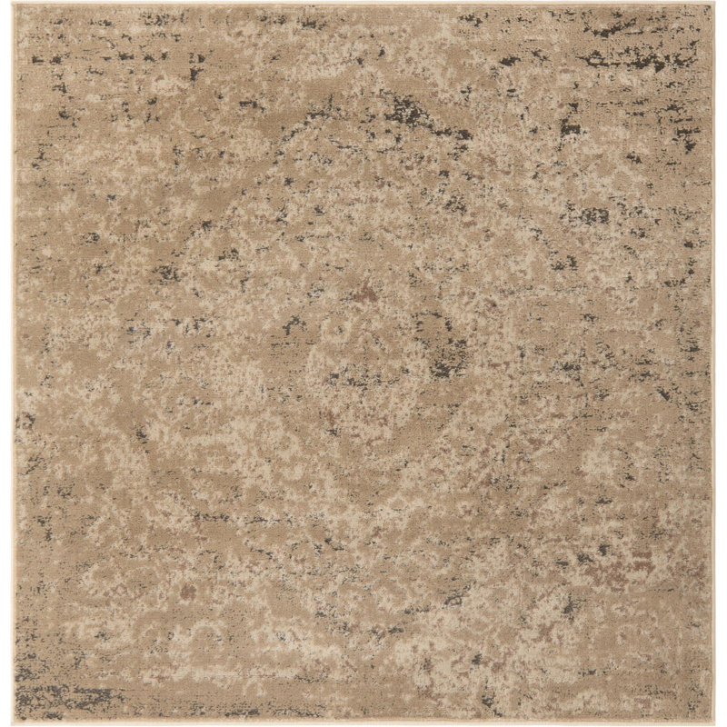 Cantrell Oriental Indoor Rug, Square 7'10"