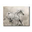 Majestic Stallion I - impression sur toile tendue-1676809951
