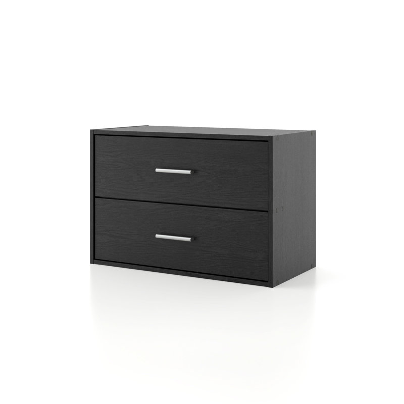 Breayla 15.7"H 2-Drawer Wooden Storage Bookcase, Black