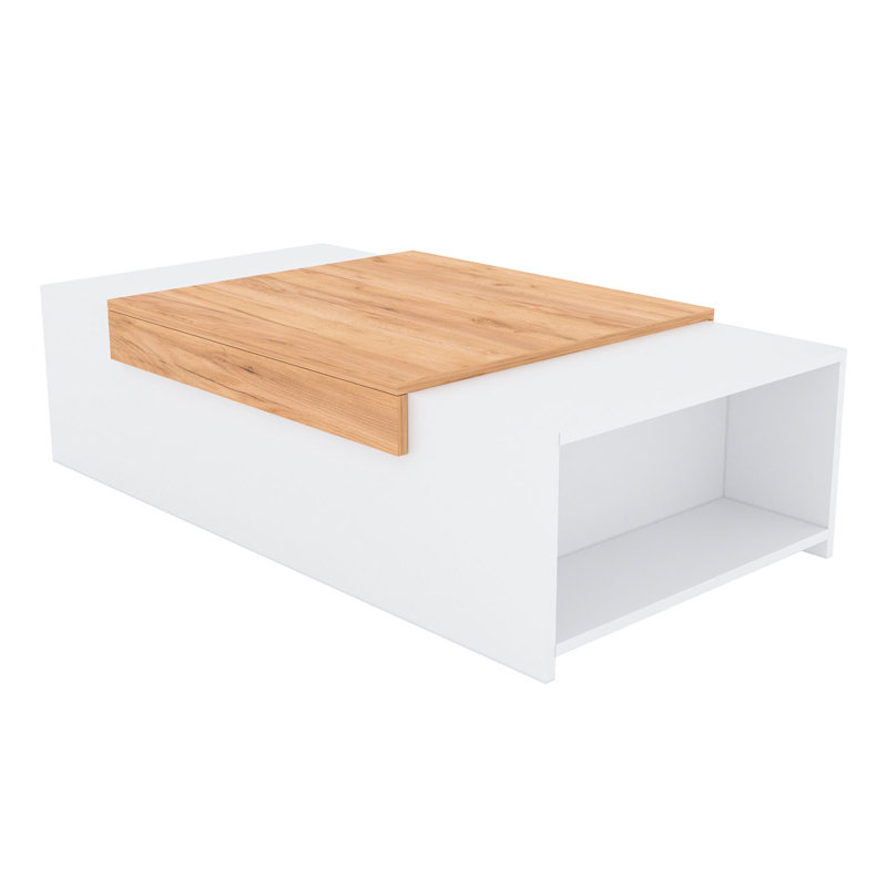 Fatlina Frame Coffee Table with Storage