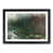 Black Framed