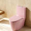 Toilette allongée une pièce à double chasse 1,1 / 1,6 GPF avec siège Comofrt ADA (siège à fermeture en douceur inclus) - option 4 couleurs-121551851