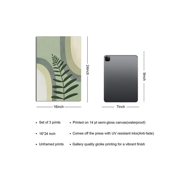 Product Dimensions