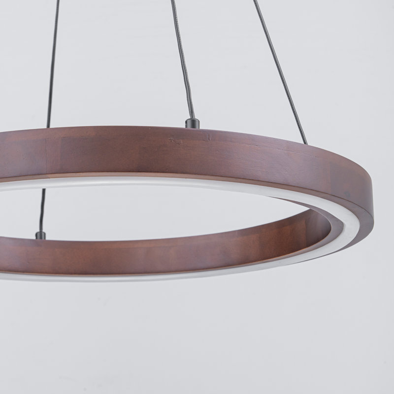 Luminaire suspendu 20 po à DEL